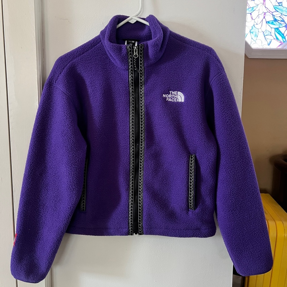 The North Face TNF Fleeski Full Zip Jacket